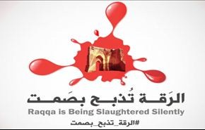 حملة لناشطين من الرقة احتجاجا على وحشية 