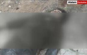 فيديو، جيش سوريا يوجه ضربات نوعية للمسلحين بالمليحة ويقتل الدوماني