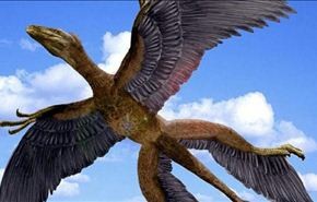علماء: الديناصورات لم تنقرض بل تحولت إلى طيور