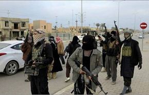مفوضية حقوق الإنسان تؤكد اعدام 15شخصاً على يد داعش بالحسكة