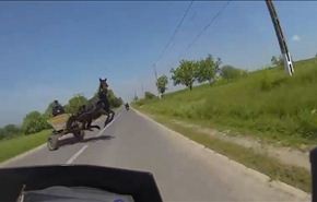 بالفيديو.. سائقة دراجة نارية تفلت من هجوم حصان