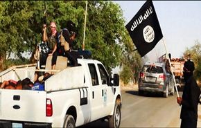 ماذا عن المعارك بين داعش والنقشبندية في الحويجة؟+فيديو