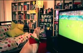 شاهد كلب يتابع بحماس مباريات كاس العالم