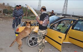 ضبط 20 سيارة محملة بالأسلحة يقودها ارهابيون حاولوا دخول كربلاء