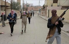 500 جزائري يقاتلون في صفوف داعش بالعراق