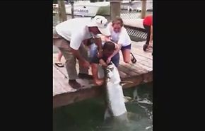 بالفيديو.. سمكة تطبق فكيها على يد رجل حاول إطعامها