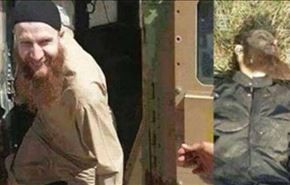 "ابوعمر چچنی" در موصل کشته شد