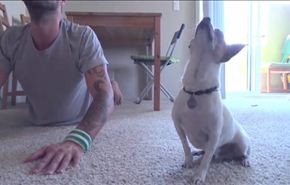 بالفيديو…كلب وصاحبة يلعبان 