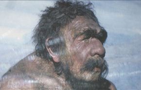 العلماء يحددون بدقة فترة انقراض الإنسان النياندرتال