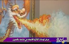 عرض لوحات ثلاثية الابعاد في متحف بالصین