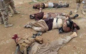 بالفيديو؛ جيش العراق يقتل 30 داعشيا في قرية الشهابي بالفلوجة