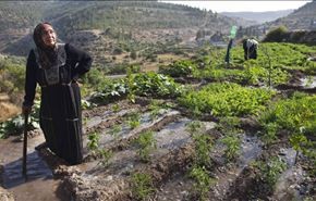 الاحتلال بصدد مصادرة 4000 دونم من أراضي الضفة الغربية