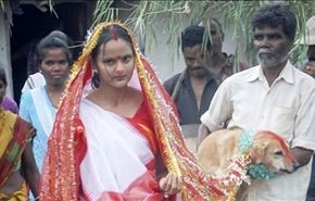 هندية تتزوج كلبا لتغير 
