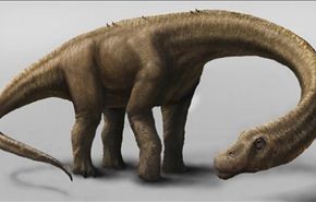 علماء يكتشفون أحد أكبر الديناصورات في العالم