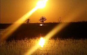 بعدستي : غروب الشمس في أهوار جنوب العراق