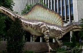 العثور على مجسمة احد الديناصورات