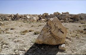 عکس‌هایی از فسیل 20 میلیون ساله در ایران