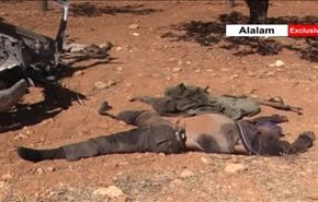 فيديو حصري: الجيش السوري يلاحق المسلحين في جرود القلمون