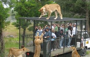 حديقة حيوان ... الناس بالأقفاص والحيوانات خارجها