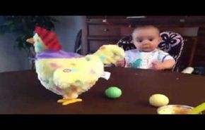 فيديو طريف لردة فعل رضيع لحظة وضع دجاجة بيضها