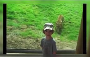 مشاهد مضحكة ومخيفة لأطفال داخل حديقة الحيوانات