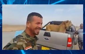 مهمان غیر عادی سربازان ارتش عراق + فیلم
