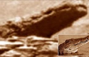اكتشاف تمساح حجري على سطح المريخ