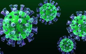 ظهور 6 حالات جديدة للإصابة بفيروس 