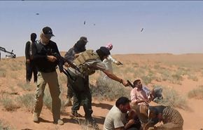 الامم المتحدة: 