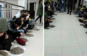 بالصور.. مدرس صيني يعاقب طلابه بتناول 50 كيلو من اللب