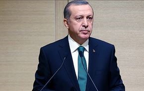 أردوغان: حملات 
