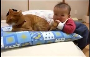 طفل يعض ذيل قطة... شاهد رد فعل القطة
