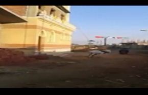 فيديو لمصري قاس يحول حمارا لآلة رفع مواد البناء