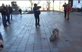 بالفيديو...كيف فرق كلب تظاهرة في أوكرانيا؟