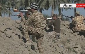 بالفيديو، القنص سلاح الدواعش الثلة بعد فرار البقية من الكرمة العراقية