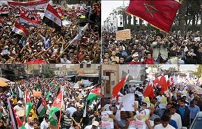 واقع انتهاكات حقوق الانسان في العالم العربي 2014+فيديو