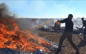 داعش ، کتاب های موصل را می سوزاند