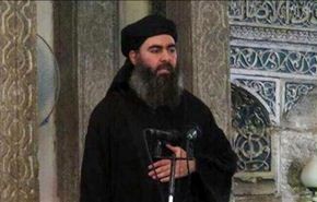 البغدادي وقادة الصف الاول بـ