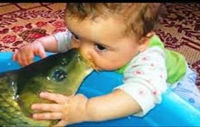 مقطع طريف وغريب... سمكة تقبل طفلا