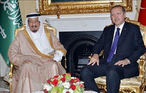 قمة سعودية تركية تتفق على دعم 