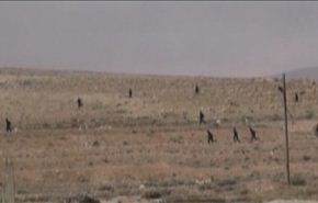 الجيش السوري يسيطر على تلال حنكل ويقتل عدداً من المسلحين