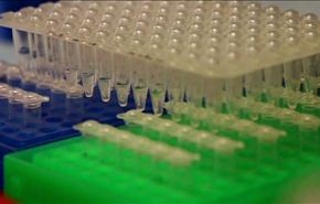 ابحاث جديدة عن فئران الحقول