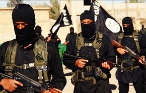 25 ألف مقاتل أجنبي انضموا لـ