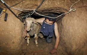 مجازات حبس ابد برای حفر تونل در مصر