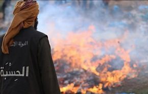 بالصور/داعش يحرق أطنانا من الدجاج بريف حلب والسبب؟