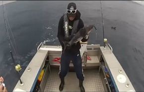شاهد.. ماذا حدث لصياد حاول التقاط سيلفي مع سمكة تونة