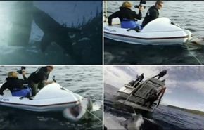 فيديو مرعب.. هجوم قرش على قارب صغير