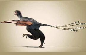 علماء يكتشفون ديناصوراً غريباً بأجنحة وطواط
