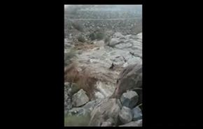 فيديو مروع يوثق لحظة غرق 3 شبان بالسعودية