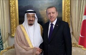 إندبندنت: تركيا والسعودية تدعمان 